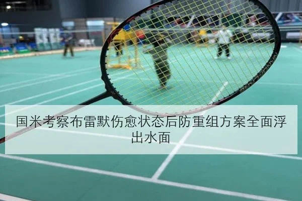 国米考察布雷默伤愈状态后防重组方案全面浮出水面